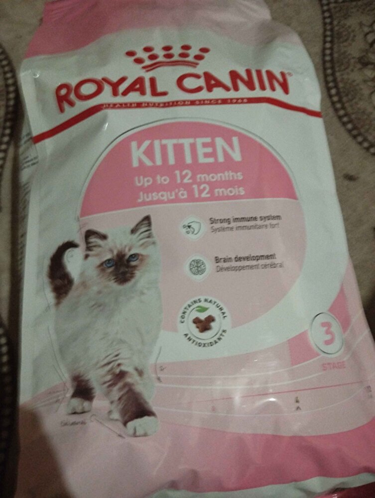 kedim çok beğendi😀