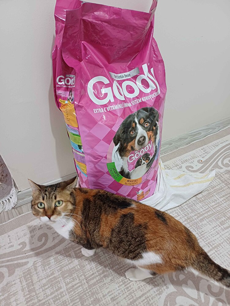 sokak canları için aldım ürün iyi paketlenmiş.
