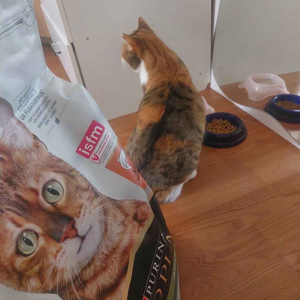 gelir gelmez saldırdı. çok severek yiyoruz nolur kaliteyi bozmayalım :) emeklerinize sağlık.