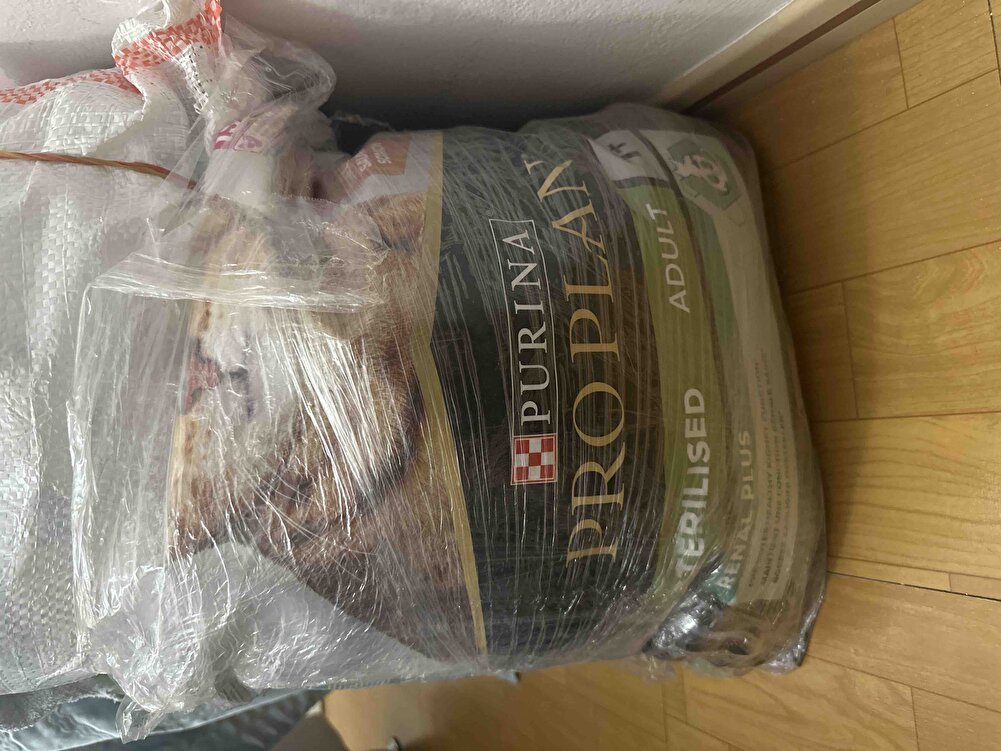 Kedilerim bayılıyor