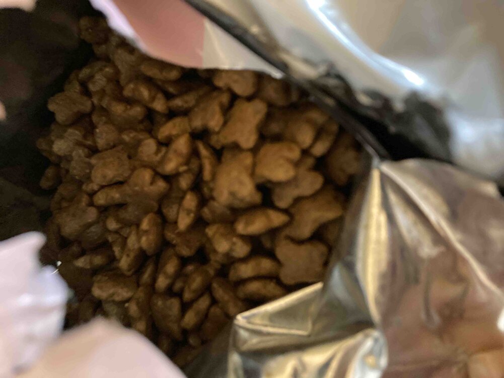 Zamanın da geliyor bu çok iyi 👍🏻 iki dakika kapının önüne bıraktım oğluşum hemen açmış yemiş 😂