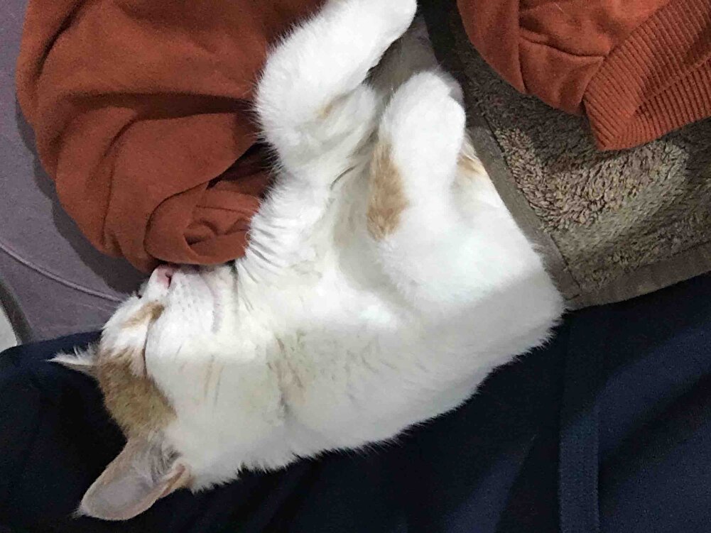 Cuma sipariş ettim pazartesi elime geldi 1 seneye kadar tarihi var tesekkurler