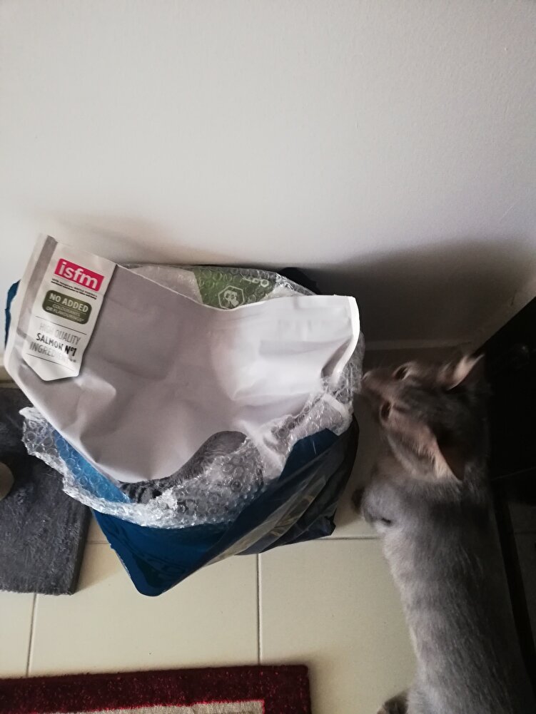 ürün paketlenmesi hiç beklemedigim kadar iyiydi. orjinal paket patpata sarılıp kalın bir poşete konularak bantlanmisti. SKT 1 yil.  Teşekkürler 👏👏