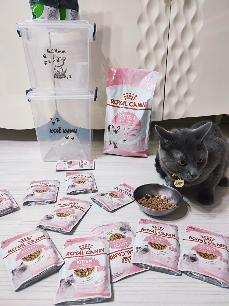 petshoptan daha uyguna geliyor 🙏