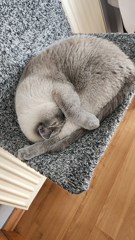 iyi paketlenmiş ve kullanma tarihi uzun geldi ,teşekkürler