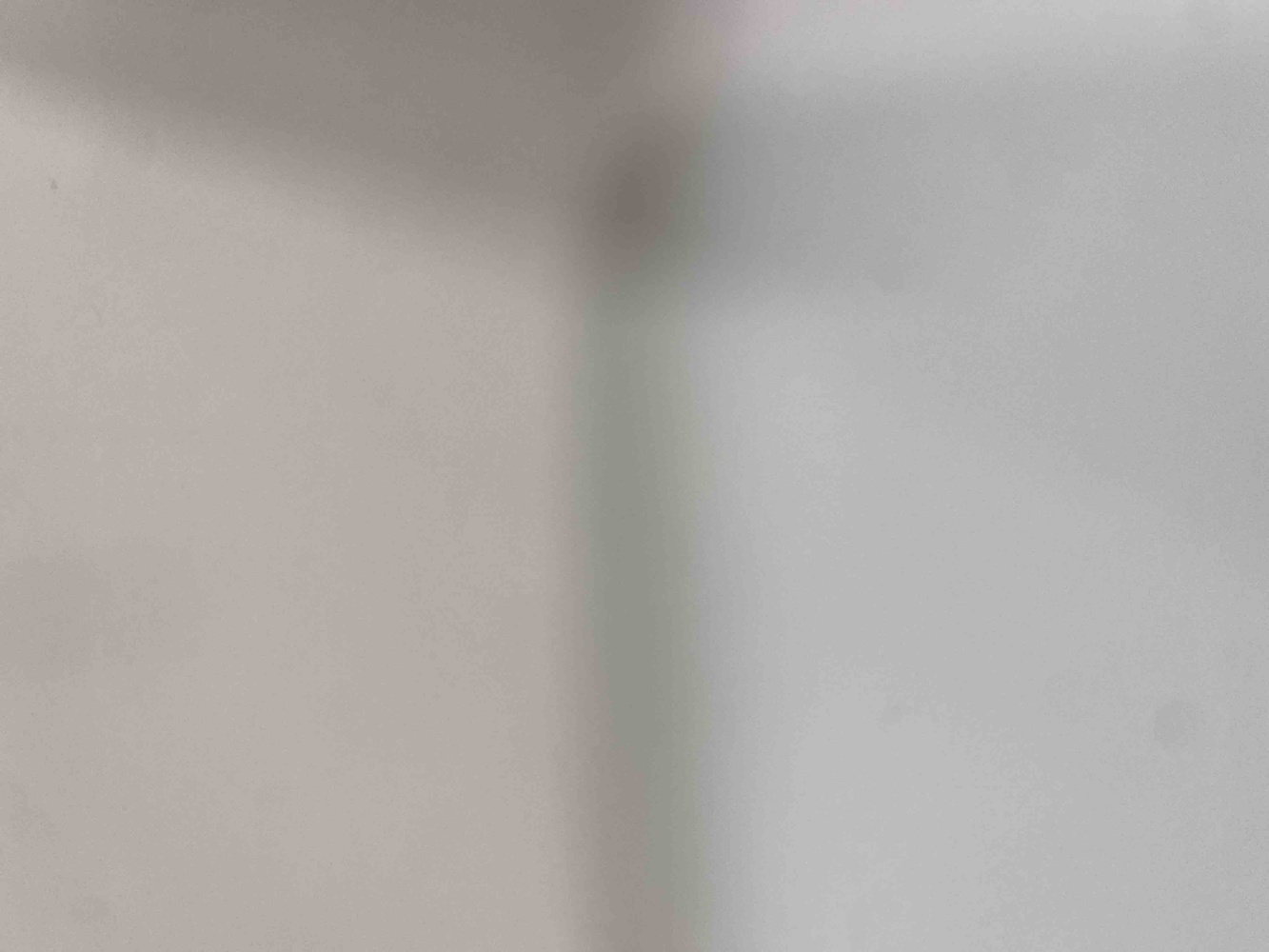 Köpekler bayılarak yiyorlar