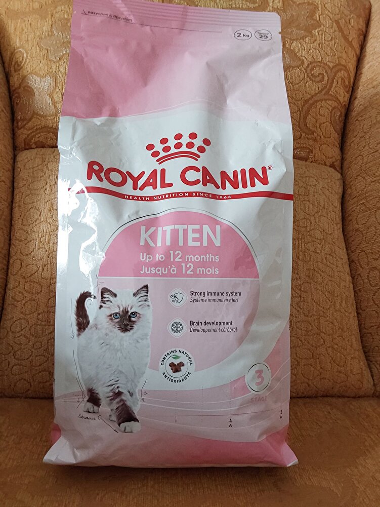 kedim begenerek yiyor ve sk tarihide 2024 daha guzel