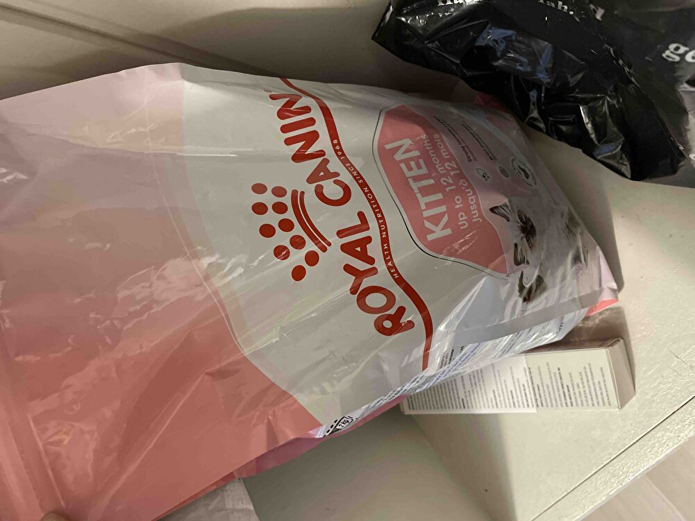 Her kedinin bayilarak yedigi mama