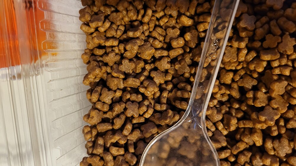 en sevdiğimiz firmada gayet güzel orijinal yolladı