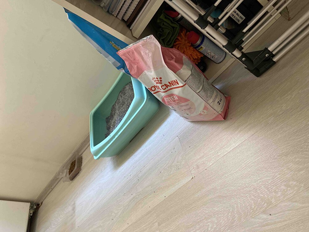 PTT kargo ile gelmese güzel