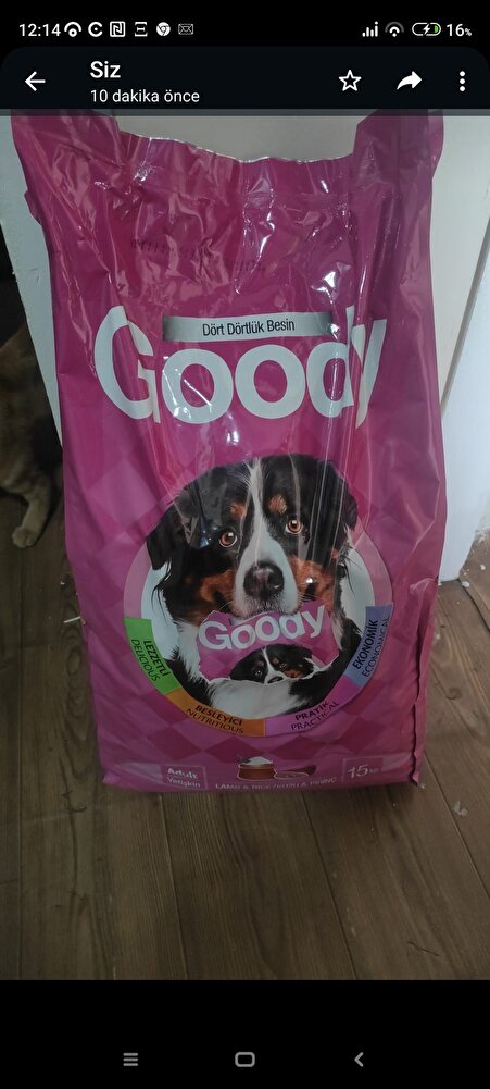 köpeğim çok beğendi iyiki sizi terci etmişim