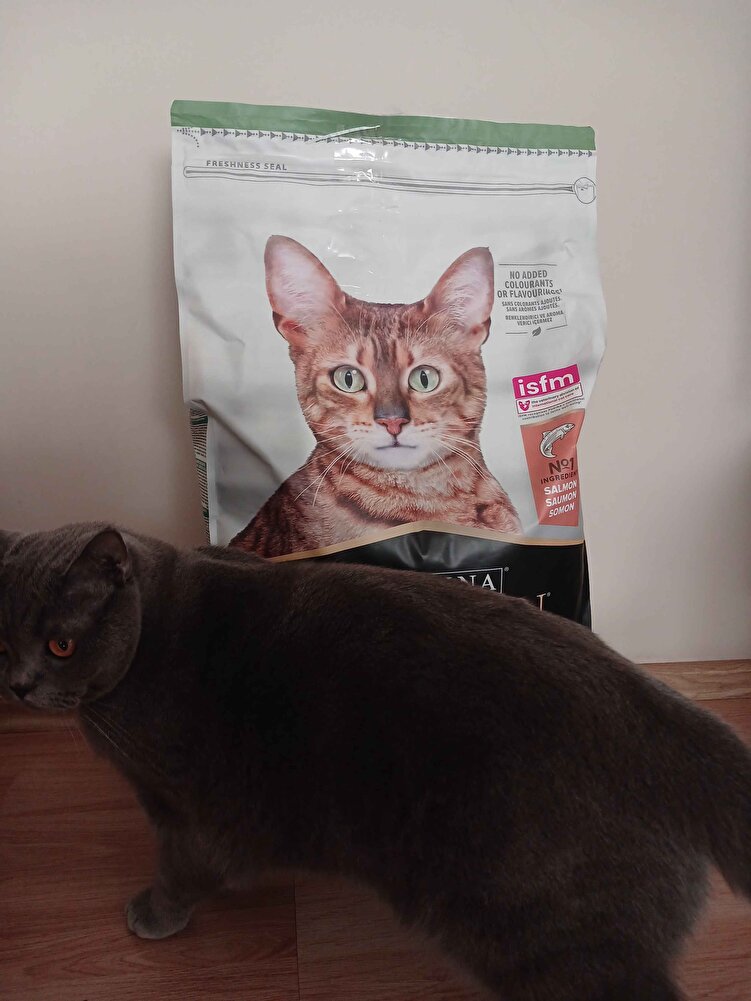 Hızlı bir şekilde elimize ulaştı. Pakettede yırtık vb yoktu. Teşekkürler