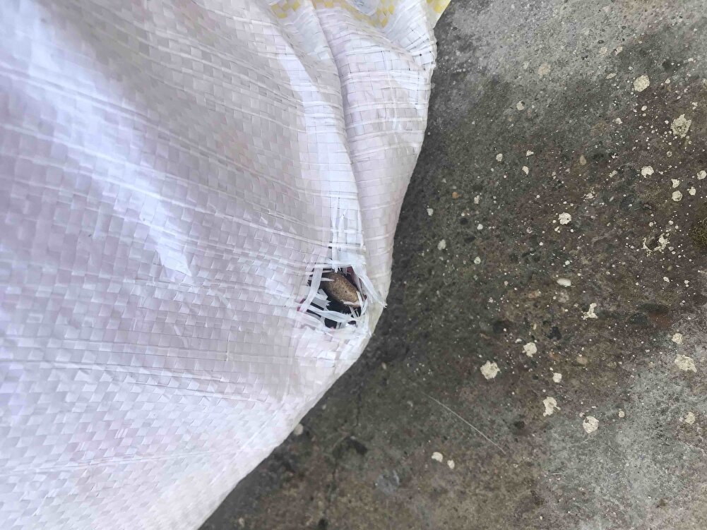 Sürat kargo hariç sıkıntısız alışveriş