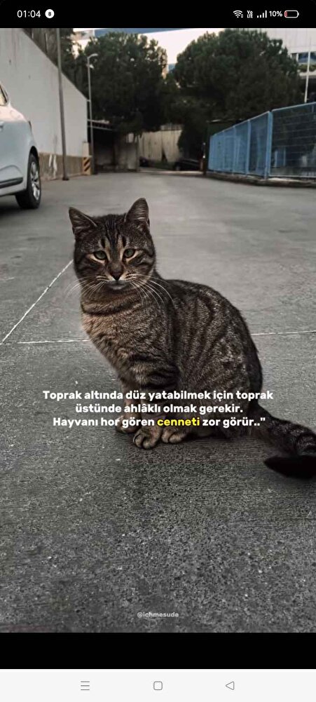 her zaman aldığım ürün kedim severek yiyor sokaktaki can dostlarımız için de kullanıyorum paketi saglam geldi