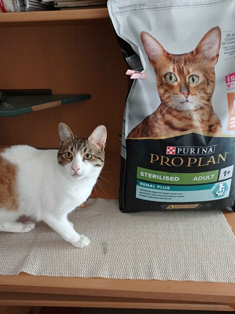 çok severek yiyorlar