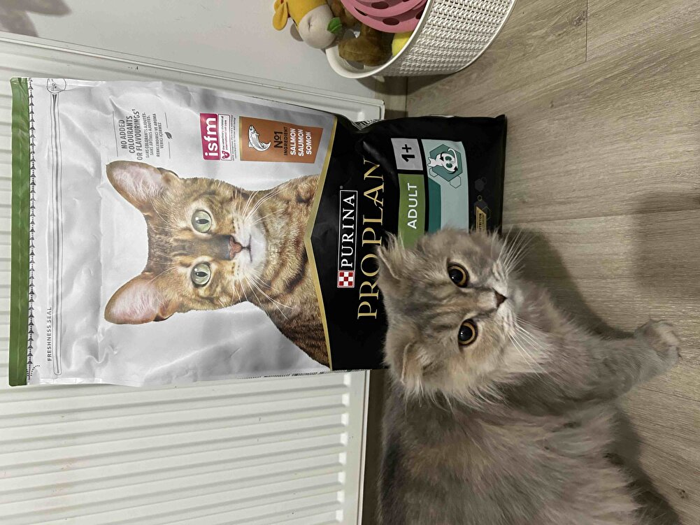 Yavrularıma sürekli kullandığım bir mama severek yiyorlar.. Satıcı desen bir sonra ki gün  hemen göndermesi daha güzel oldu çok teşekkür ederim Gönül rahatlığıyla sipariş verebilirsiniz.. 👍✨