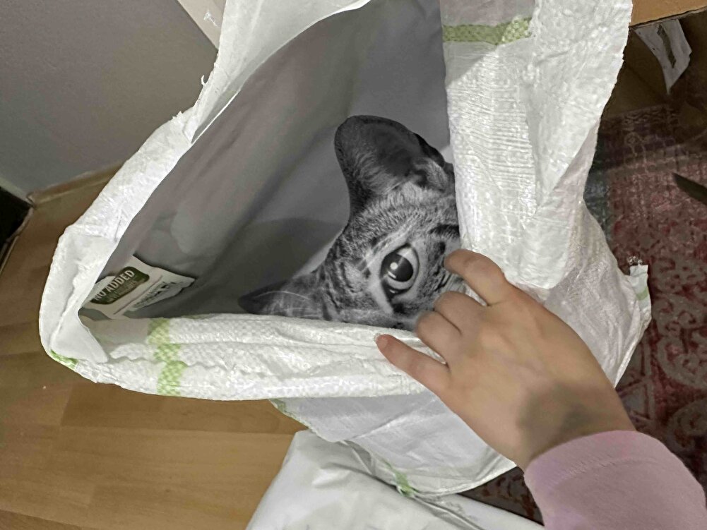 Sağlam paketleme.kedim her zaman severek yiyiyor