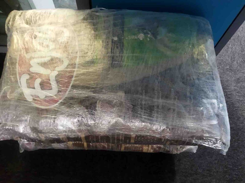 Güzel sokaktaki kediler bayılarak yiyor