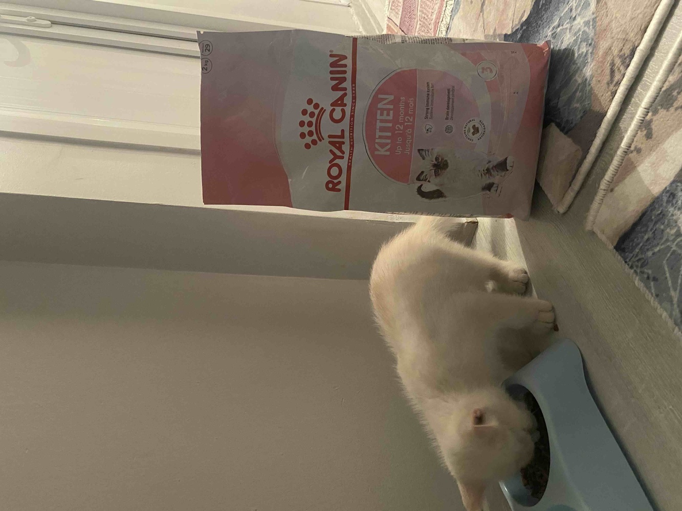 Orjinal ürün, kedim cok sevdi tesekkurler🫶🏻