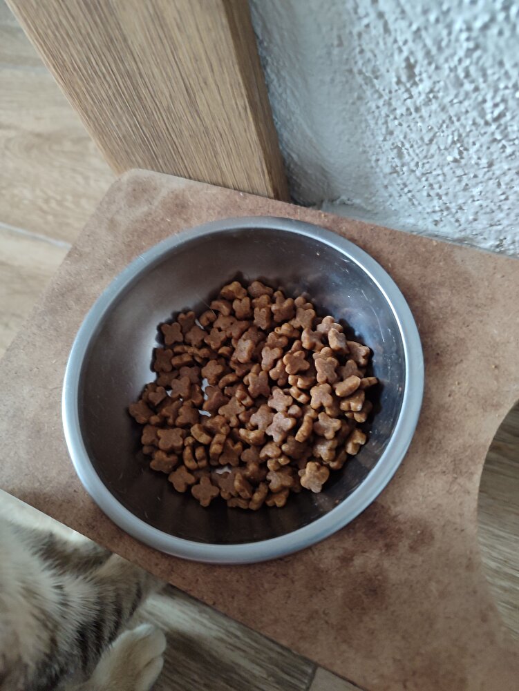 Kitten mamaya yeni geçtik. Kızım severek yiyor :)