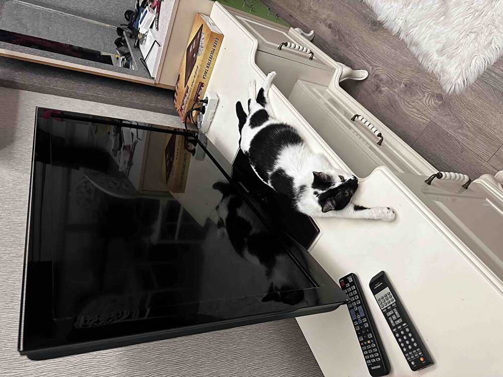 Öncesinde brit care kullanıyordum baktım fiyatlar uçmuş royal canine yaklaşmış royal alayım dedim. Gece verme fırsatım oldu vermez olaydım sabaha kadar fink fink tepişip durdular enerjileri fazlalaştı 6 kedimde severek yedi