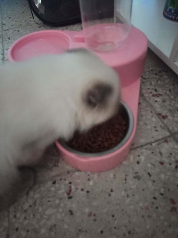 Simamız severek yiyor teşekkürler 😊