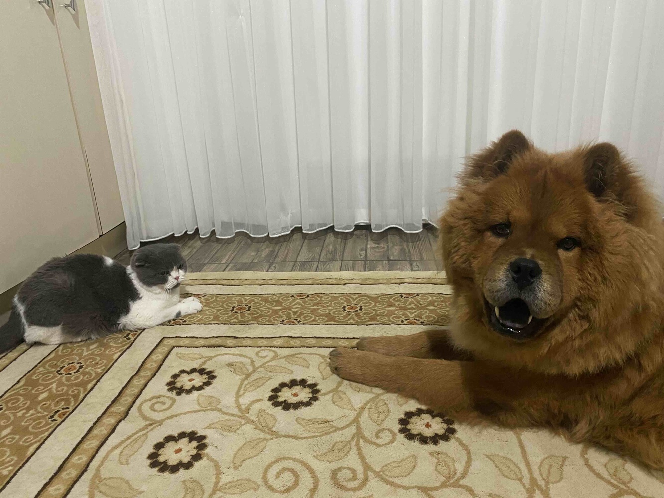 2 yaşında kızım için aldım markayı değiştirince tereddüt ettim ama yemesi konusunda hiç zorlamadı her seferinde bitirdi