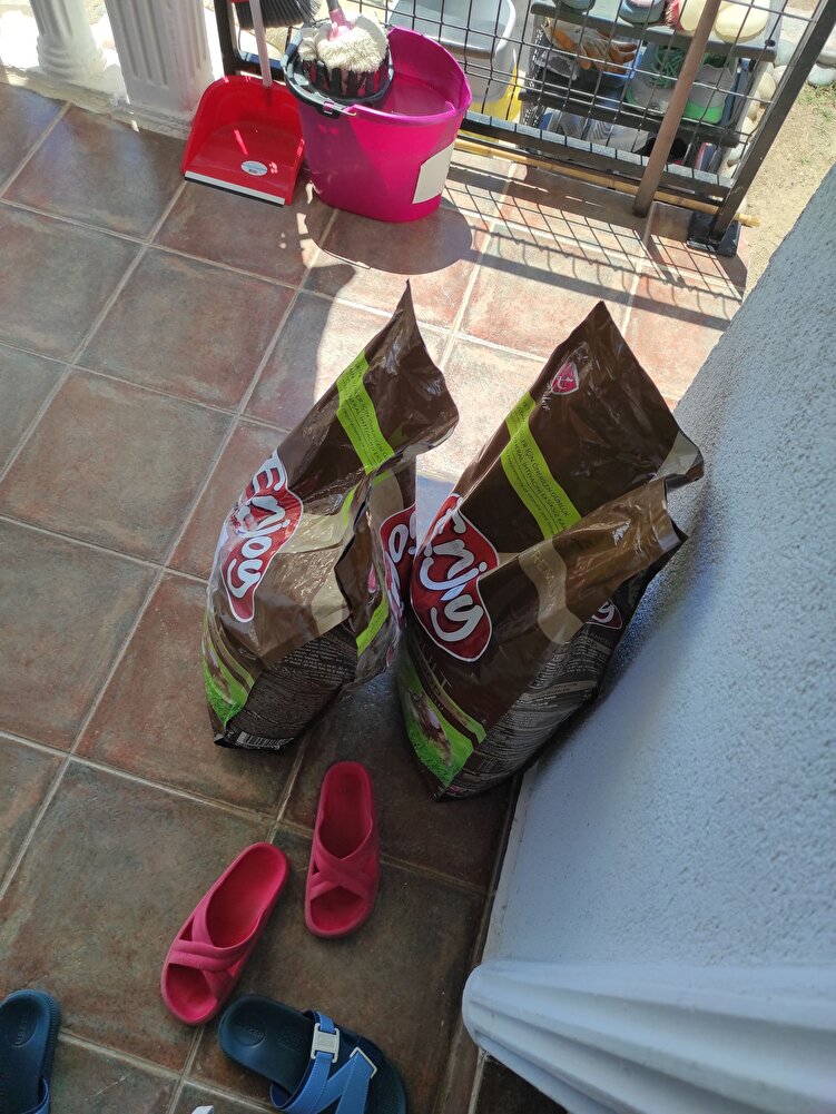 bütün sokak kedileri severek yiyorlar herkese tavsiye ederim