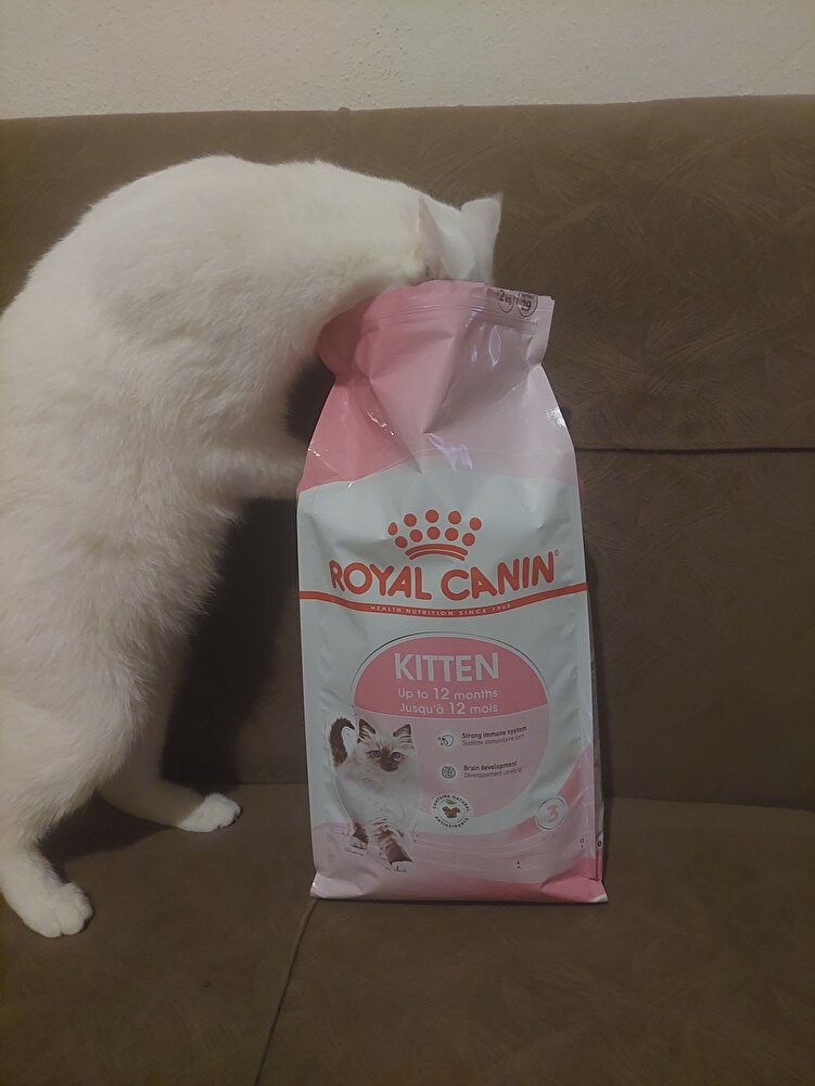 güzel paketlenmiş süper