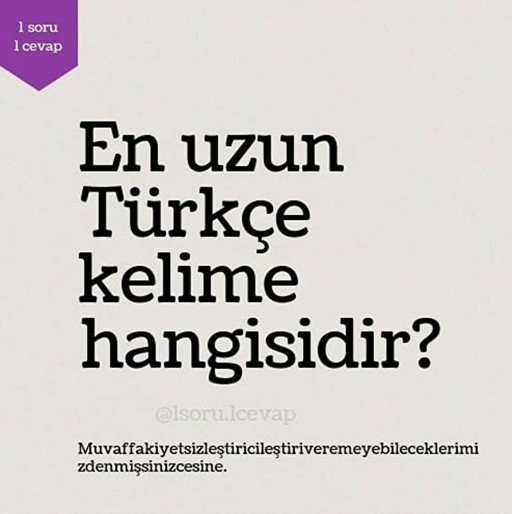 köpeğim beğendi kargo hızlı ve çok ilgiliydi bayıldımmm fiyatına göre çok güzell