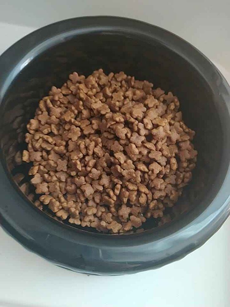 Gayet güzel bir ürün paketleme güzeldi kedim severek yiyor.