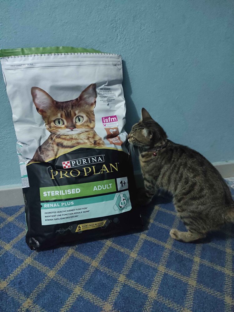 kargo gönderimi paketleme çok iyi kedimde çok sevdi