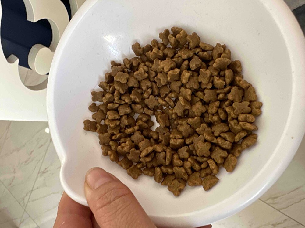 Kedimin severek yediği tek mama