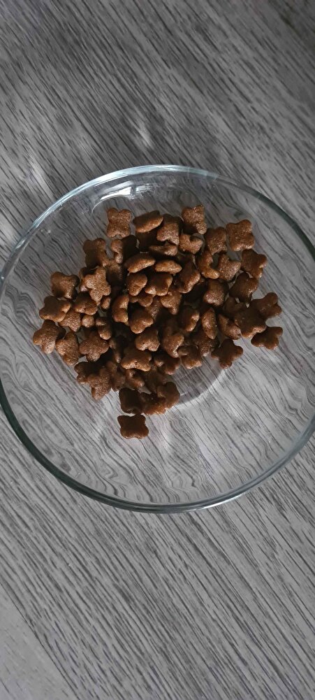 İlk defa kedim bukadar iştahlı mama yiyor inanamıyorum.