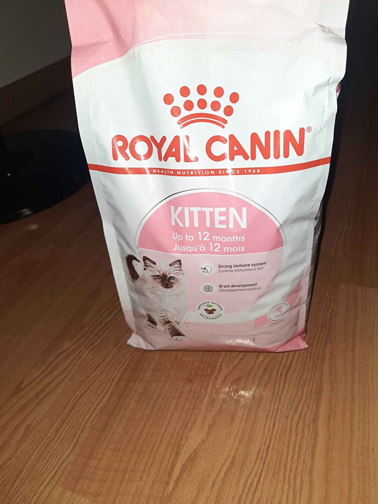 iyi kedim severek yiyor