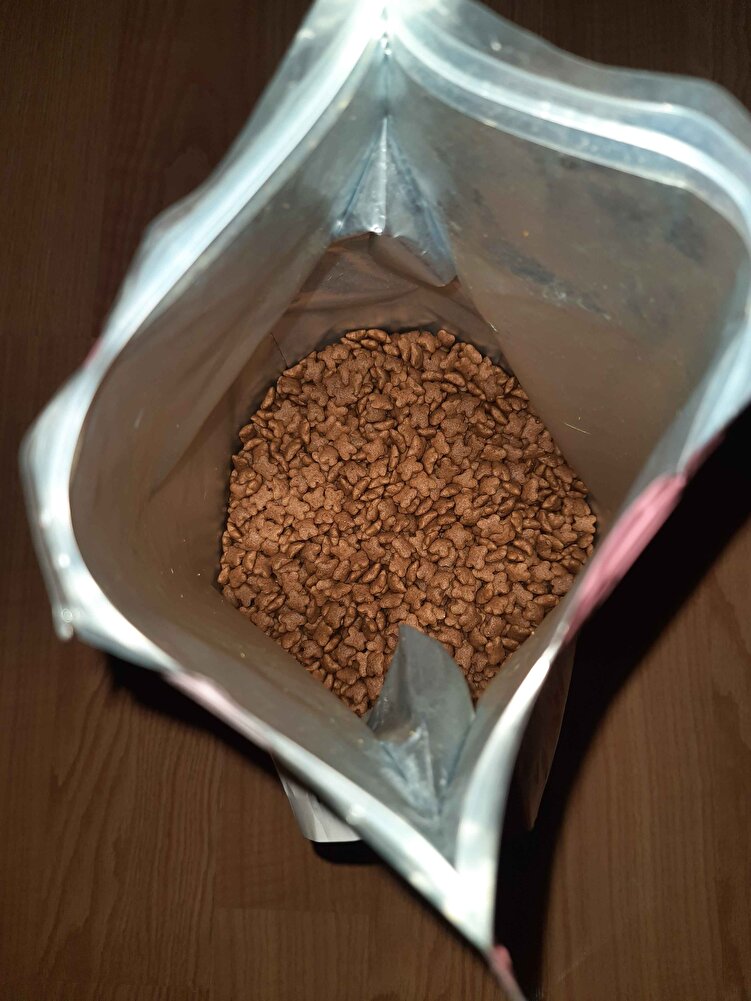 iyi kedim severek yiyor