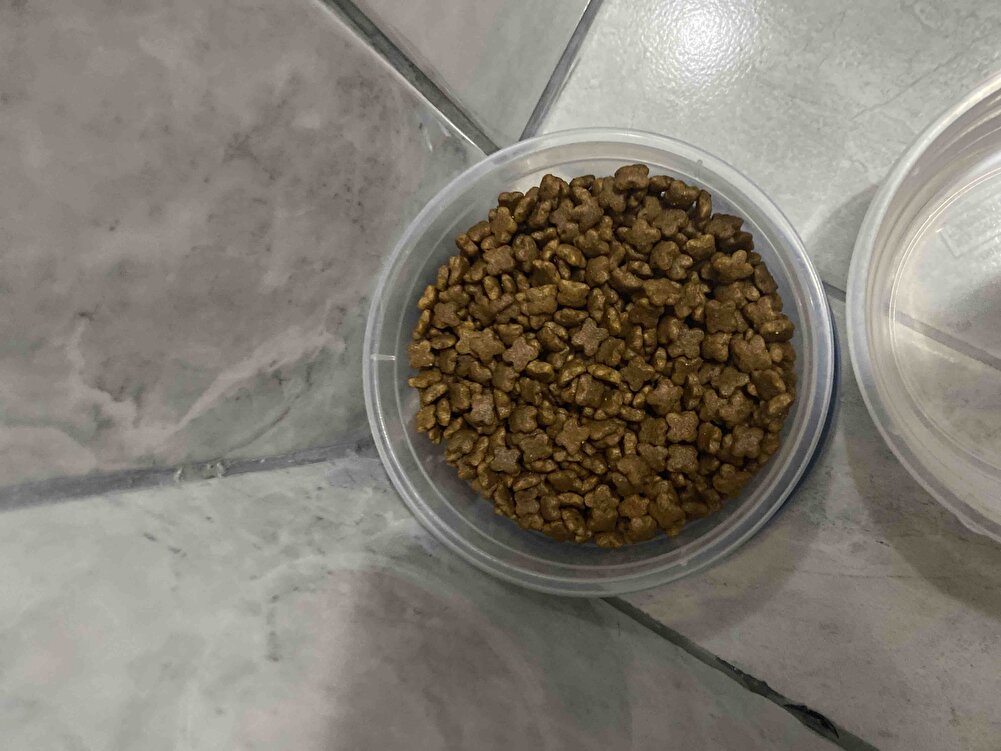 Canım kızım severek yiyor