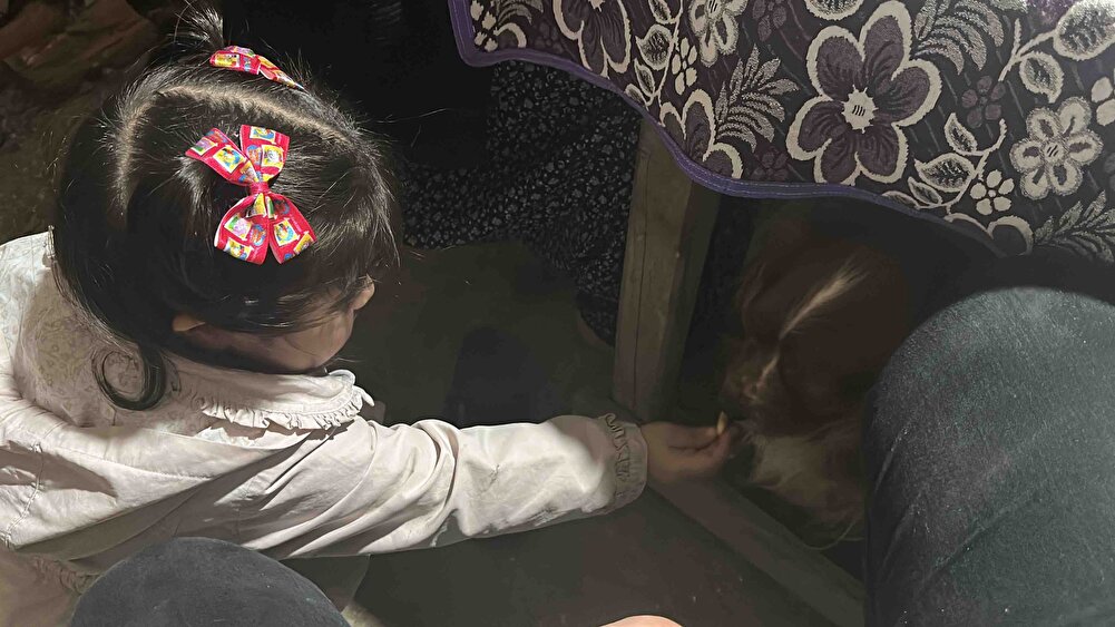 Köpeğim sadece elimle verirsem yiyor kabunda yemiyor. Ama paketleme iyiydi