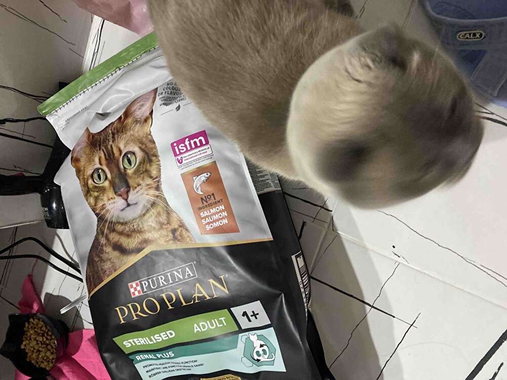 Paketleme ve teslimat harika kedim çok sevdi 😍😍