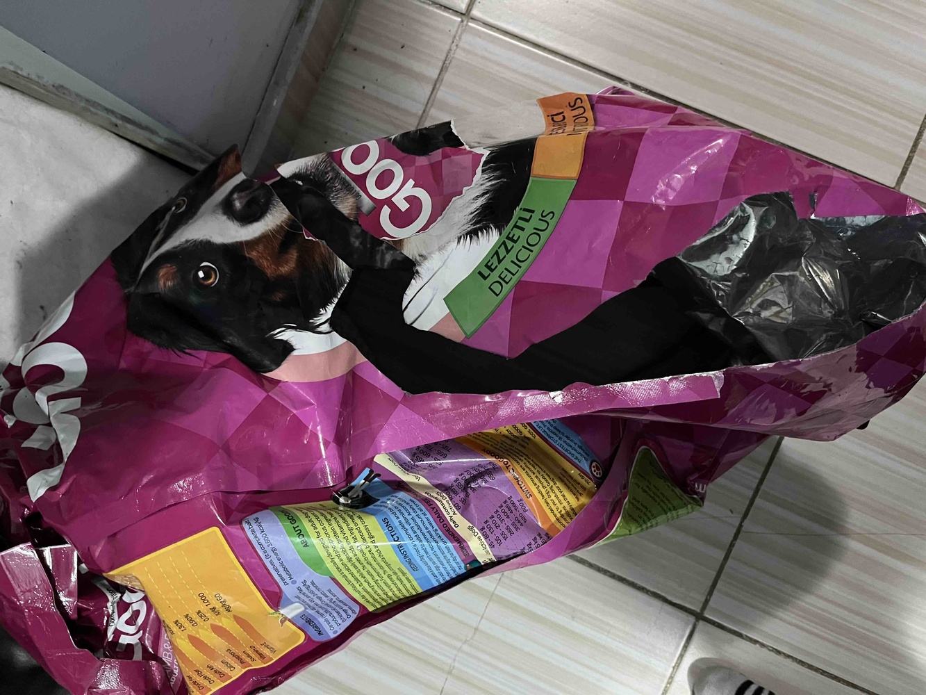Teslimat hızlı , paketleme çok kötü
