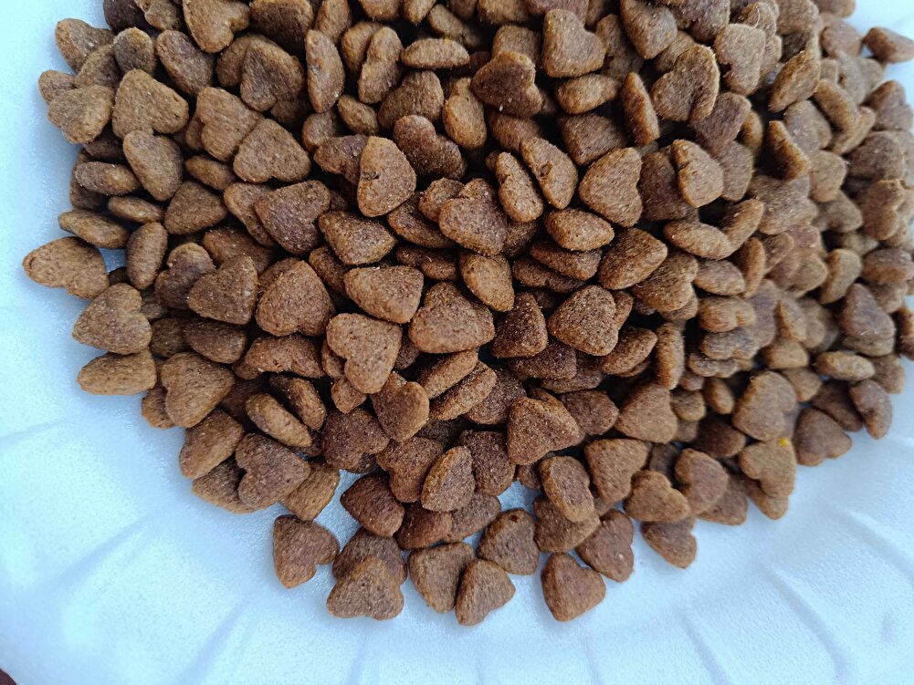 kargo hızlı ve ürün kaliteli.Sokaktaki canlar için alıyorum,hiçbir sorun yaşamadım hep aynı ürünü kullanıyorum, teşekkürler 🙏🏻☺️