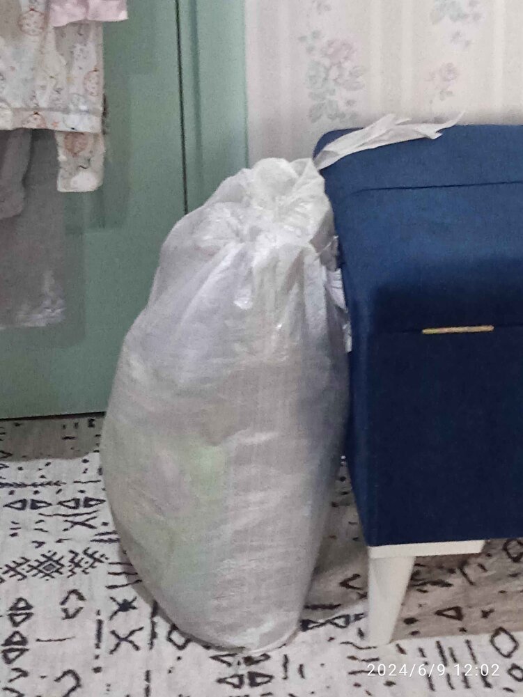 sokak kedileri için aldım . bayıldılar