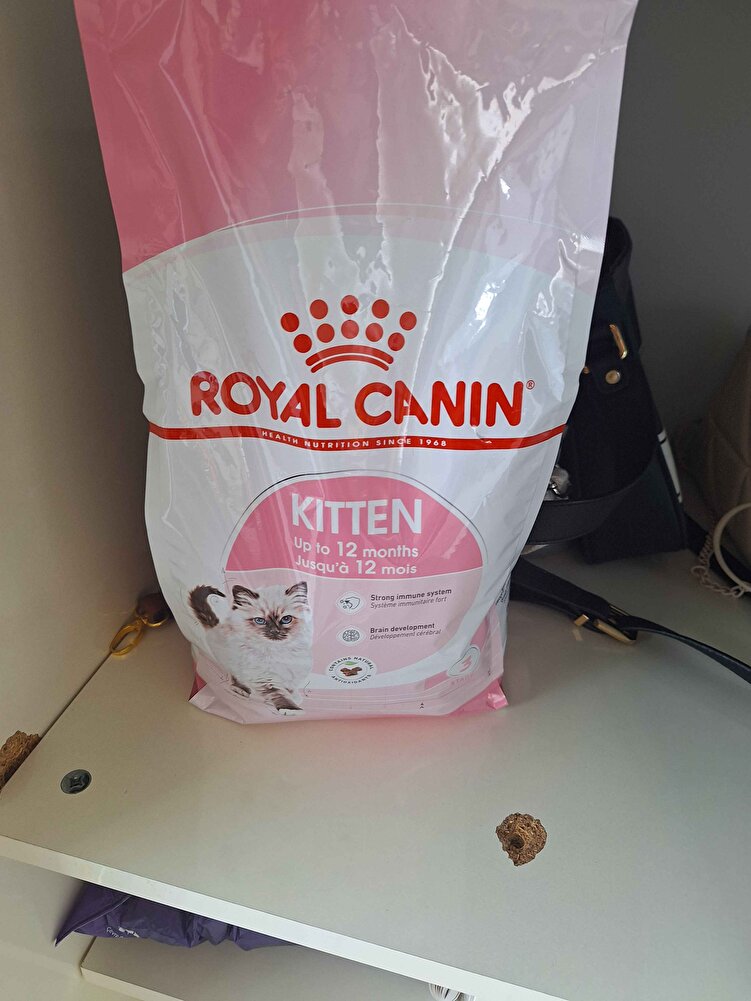 yavru kedilerde tek geçerim bu mamayi