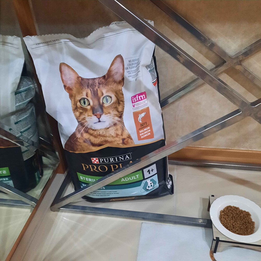 Kedim gelmesi ile siparişin midesine indirmesi bir oldu.ilk siparişim ama başarılı bir ürün.