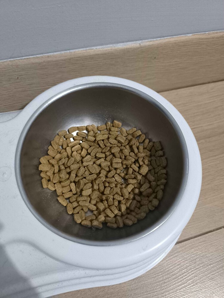 kedim bayılarak yiyiyo tek yediği mama bi dönem sadce açıktan mama alıyodum ama aynı mama o dönem kedimin türlerinde kellik oluştu bende paket mama aldim problem ortadan kalktı veterinerimizin gözü kapalı güvendiği mamaymus alın aldirin