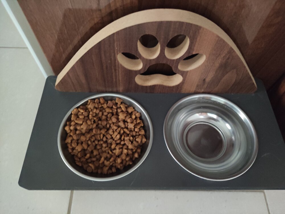 Kedim buna bayılıyor.