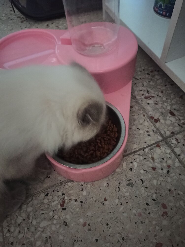 Simamız severek yiyor teşekkürler 😊