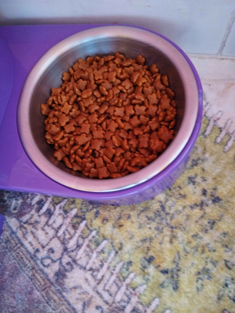 taneleri yıldız gibi içeriğini okudum 3 4 gün yedikten snr kedim tekrar degerlendirmek isterim