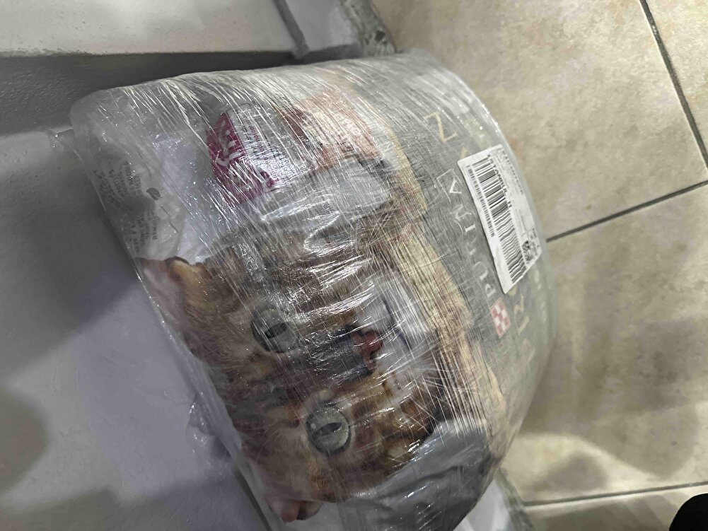 Saglam ve hizli bir sekilde elime ulasti