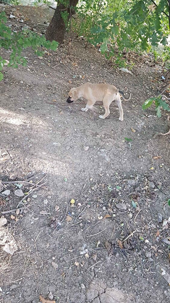 Çok memnun kaldığımız bir ürün ,firmaya kargo özeni için teşekkür ediyorum.